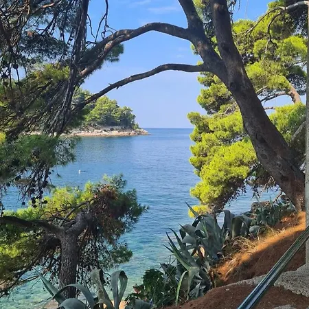 Sea Star Apartament